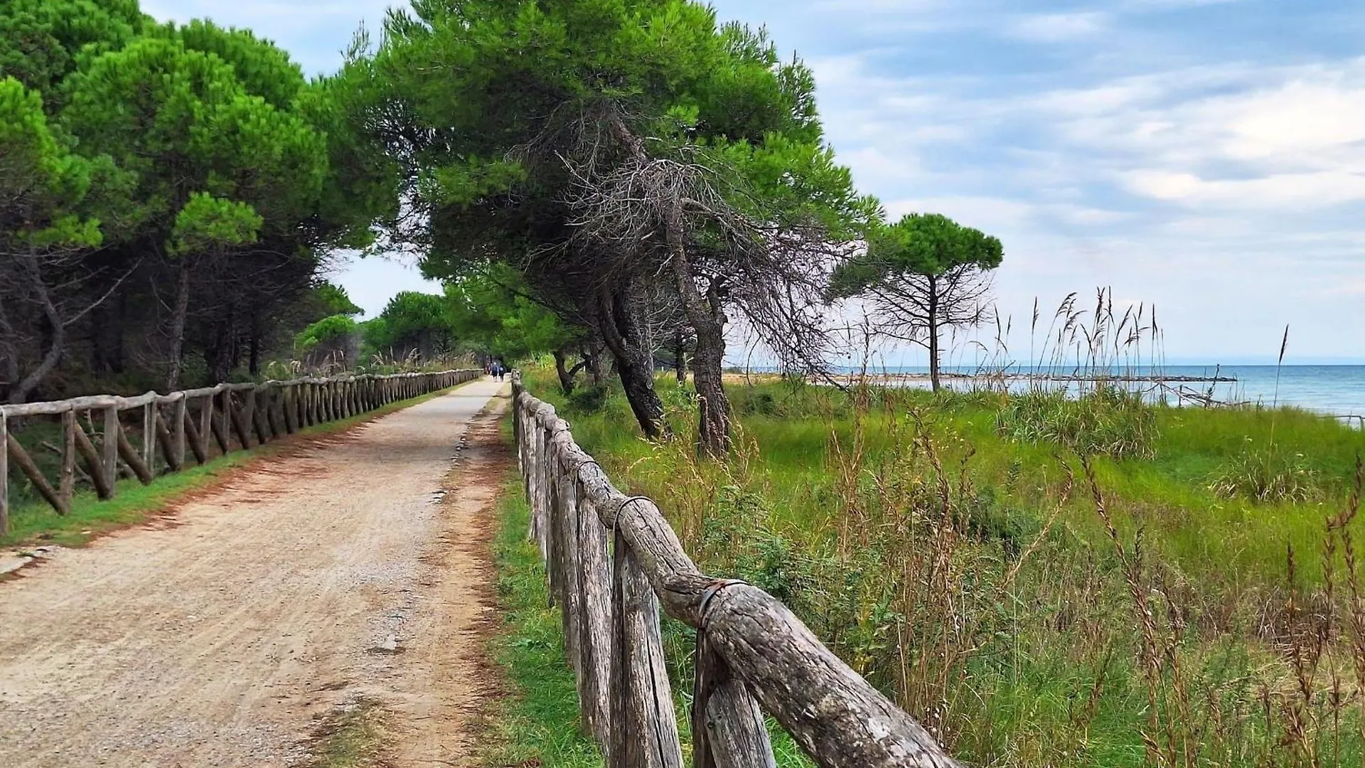 Cozy Flat With Stunning Terrace In Bibione Apartment Italy